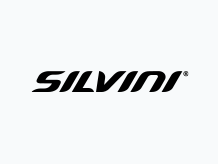 SILVINI
