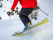 Narty Nordica