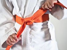 Pasy karate