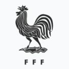 Koszulki reprezentacji Francji