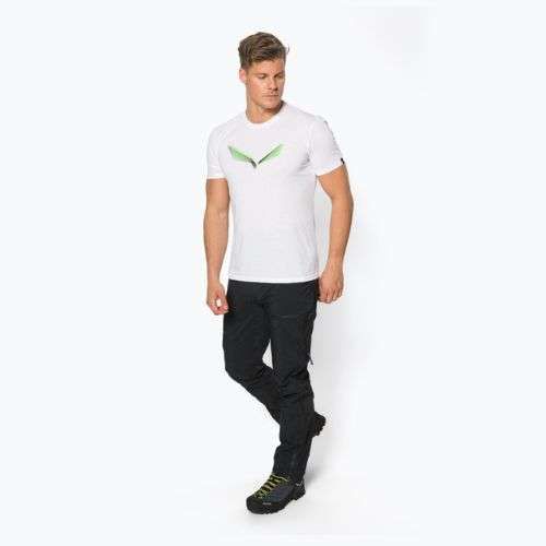 Koszulka trekkingowa męska Salewa Lines Graphic Dry optical white