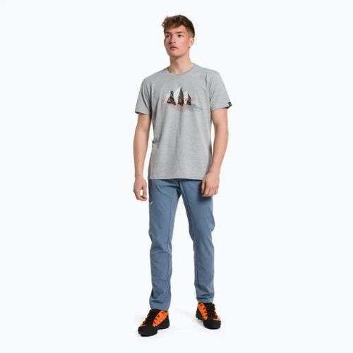 Koszulka trekkingowa męska Salewa Lines Graphic Dry heather grey
