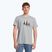 Koszulka trekkingowa męska Salewa Lines Graphic Dry heather grey