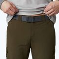 Spodnie trekkingowe męskie Columbia Silver Ridge II Convertible olive green 6