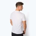 Koszulka trekkingowa męska Salewa Lines Graphic Dry optical white 3
