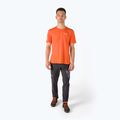 Koszulka trekkingowa męska Salewa Alpine Hemp Logo red/orange 2