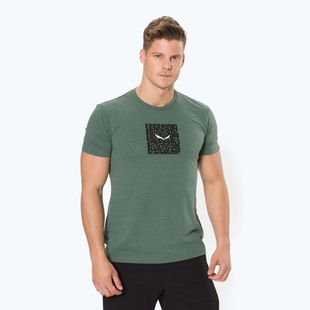 Koszulka trekkingowa męska Salewa Pure Box Dry raw green melange