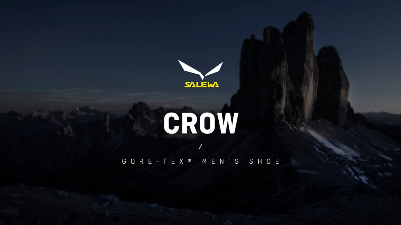 Buty wysokogórskie męskie Salewa Crow GTX wallnut/fluo orange