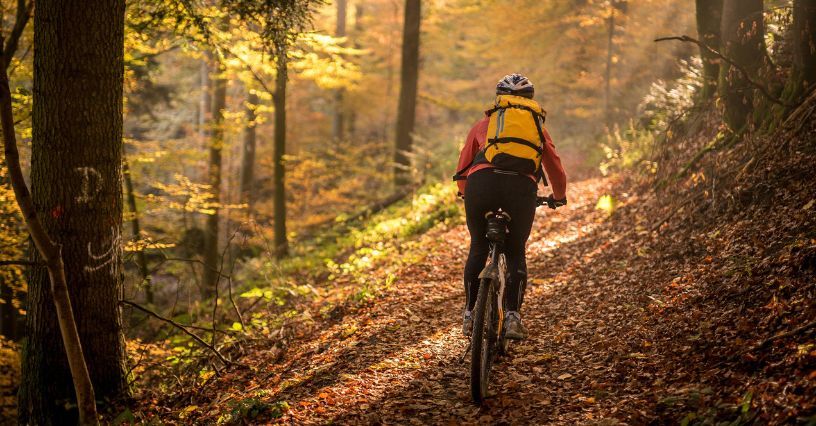 Rower jesienią: jak ubrać się na rower jesienią i o czym pamiętać przygotowując się do jazdy?