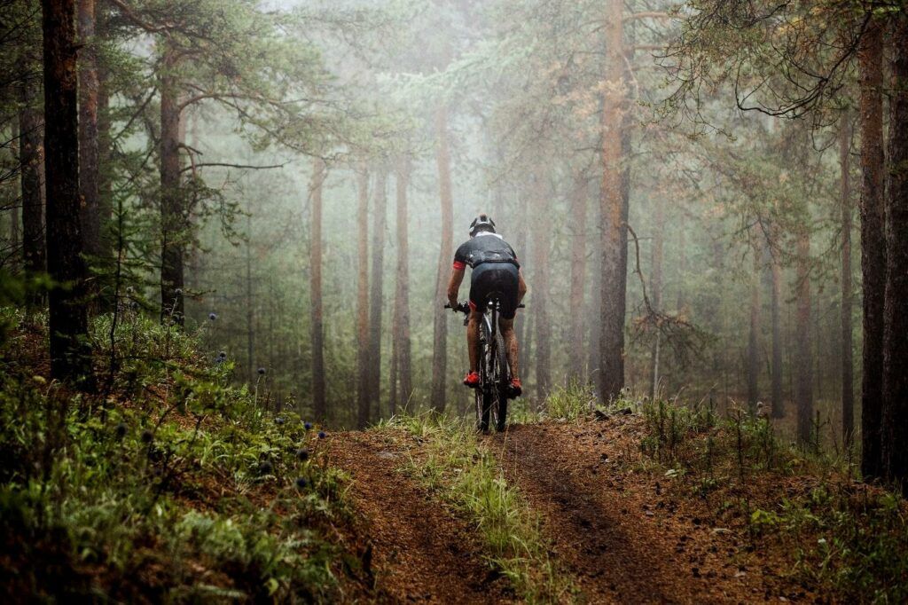 Co to jest rower MTB? Jaki model roweru górskiego wybrać i na co zwrócić uwagę? Poradnik zakupowy