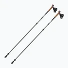 Kije nordic walking