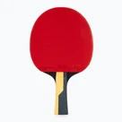 Tenis stołowy